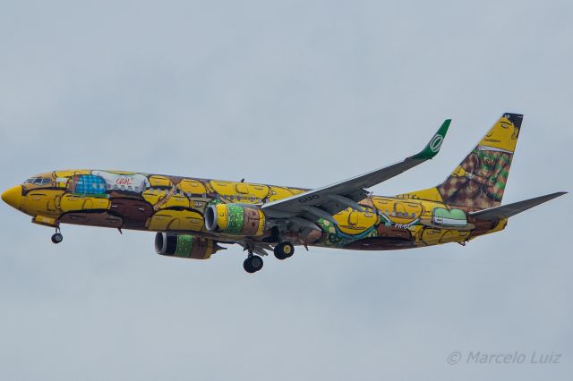 Boeing 737-800 (PR-GUO) - GOL Transportes Aereos (os Gemeos Livery) - Boeing 737-8EHbr /Registration: PR-GUObr /br /Manaus (MAO) / São Paulo (GRU)br /br /Foto Tirada em: 15/11/2016br /Fotografia: Marcelo Luiz