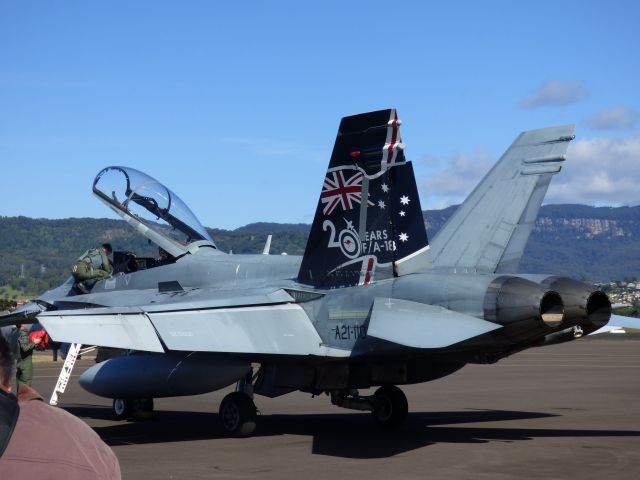 A21110 — - Taken at YWOL Wings Over The Illawarra 2014. FA 18 Hornet