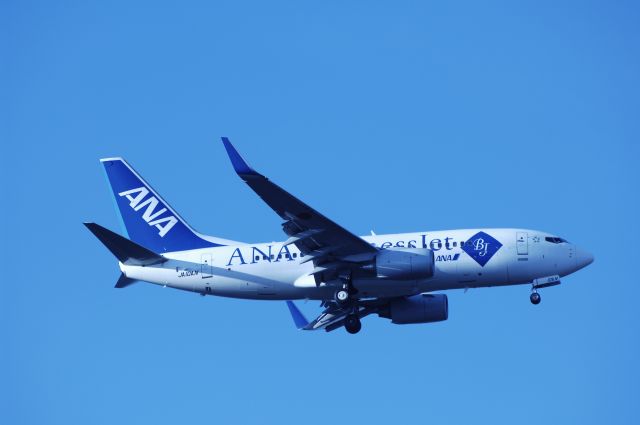 Boeing 737-700 (JA10AN) - Final Approach to NRT Airport Runway 34L on 2011/12/12 ANA Business Jet