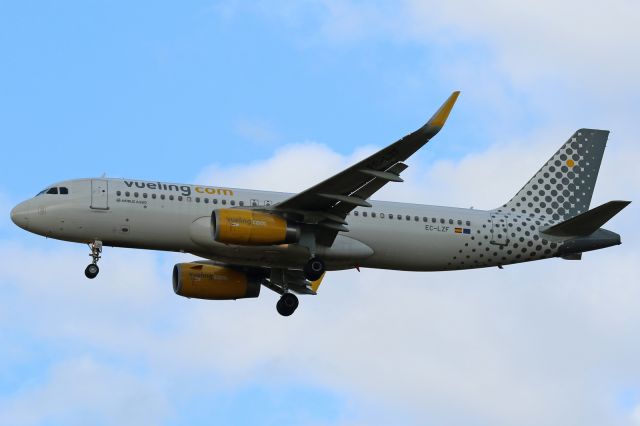 Airbus A320 (EC-LZF)