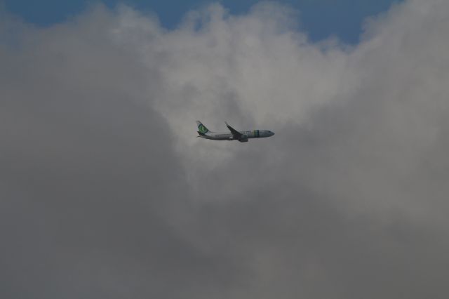 Boeing 737-700 (PH-HZN) - Boeing 737-8K2, Transavia, vanuit Faro (Portugal) vliegt over Nieuwkoop in de aanvliegroute naar Schiphol.