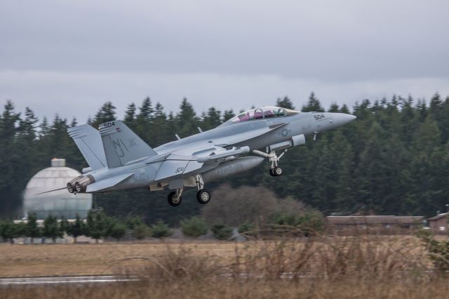 McDonnell Douglas FA-18 Hornet —