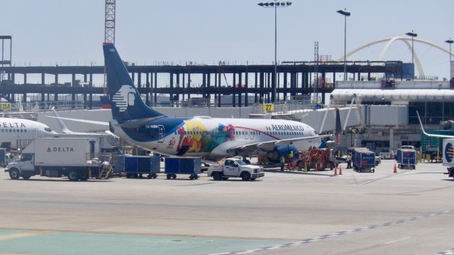 Boeing 737-800 (XA-AMM) - Sesame Street