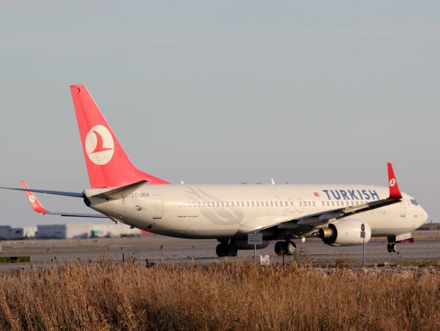 Boeing 737-800 (TC-JGV)