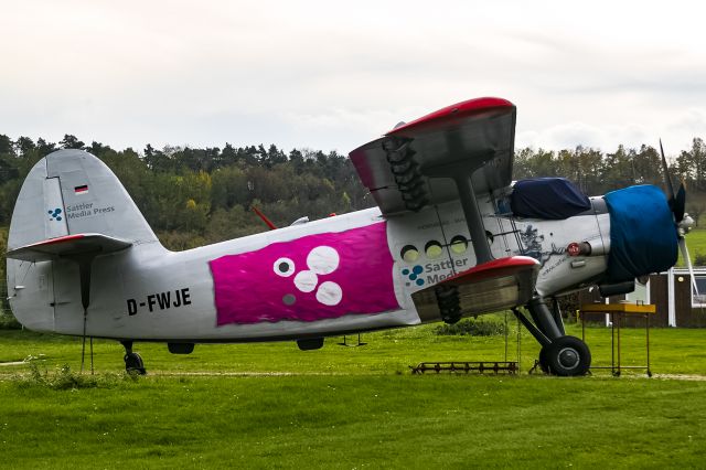 Antonov An-2 (D-FWJE) - waiting for her second life!