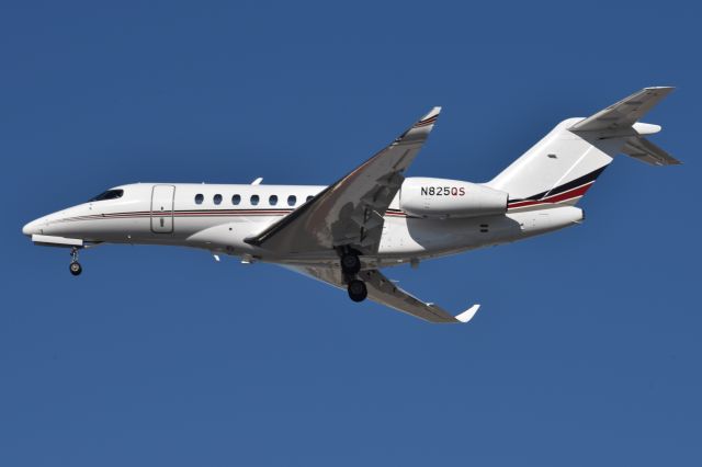Cessna Citation Longitude (N825QS) - 11-01-24 23R