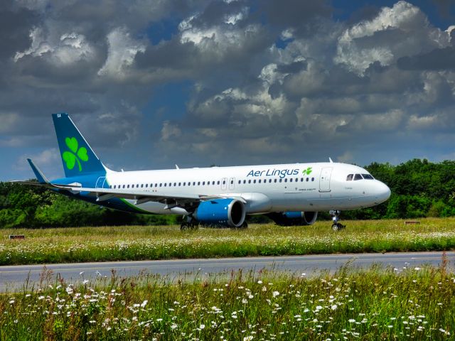 Airbus A320 (EI-NSA) - L'avion arrive de Dublin