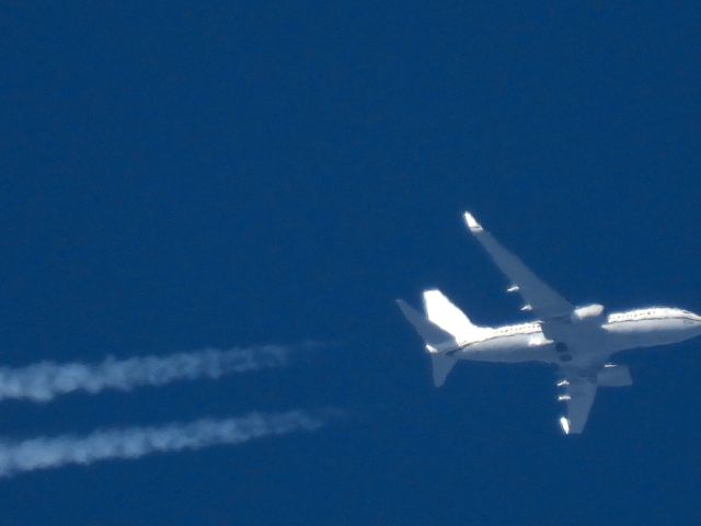 16-5830 — - CNV4950br /PHX-br /11/24/2024