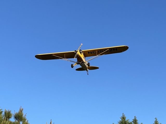 Piper NE Cub (N1502N)