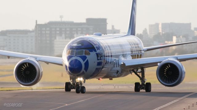 Boeing 787-9 Dreamliner (JA873A) - R2-D2 STAR WARS LIVERYbr /ANA 787-9 JA873Abr /October.20.2015 Hakodate Airport [HKD/RJCH] JAPAN