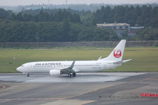 Boeing 737-800 (JA348J)