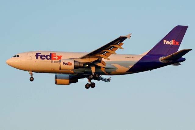 Airbus A310 (N804FD)