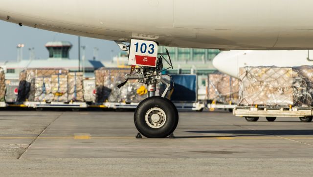 Airbus A330-200 (C-GPTS) - Bridgestone tires in 1050/395 R16