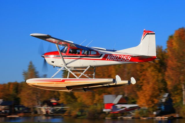 Cessna Skywagon (N80359)