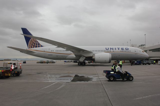 Boeing 787-8 (N20904) - First United 787 in to DIA on 10-13-2012.  Test flight no passengers.