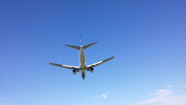 Boeing 737-700 (LV-GGK)