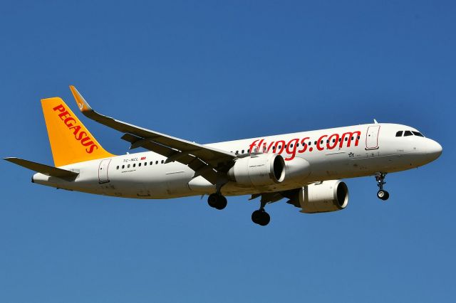 Airbus A320neo (TC-NCL) - From Istanbul-Sabiha Gökçen - SAW to Zurich (ZRH / LSZH)br /August 4, 2022