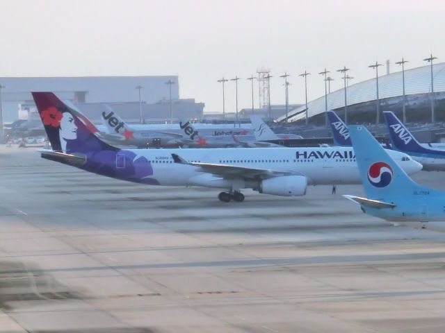 Airbus A330-200 (N389HA)