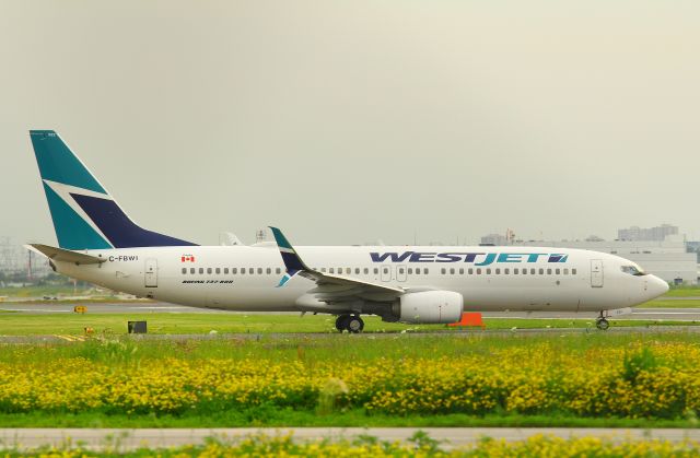 Boeing 737-800 (C-FBWI)