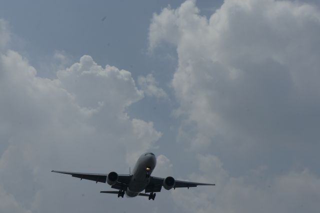 Boeing 777-200 — - ZSSS JAL 777-200ER