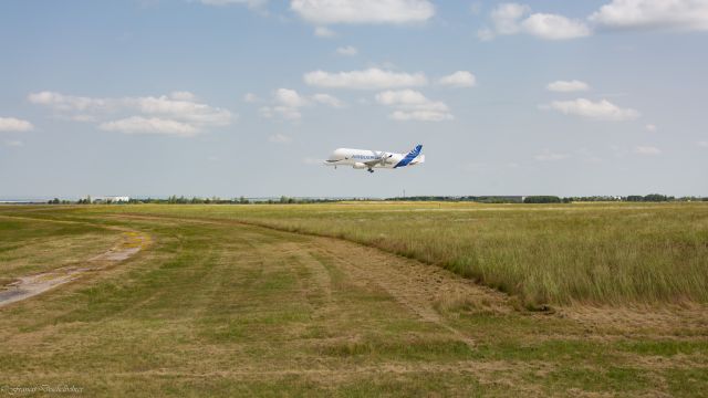 AIRBUS A-330-700 Beluga XL (F-WBXL)