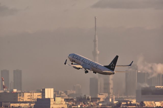 Boeing 737-700 (JA51AN)