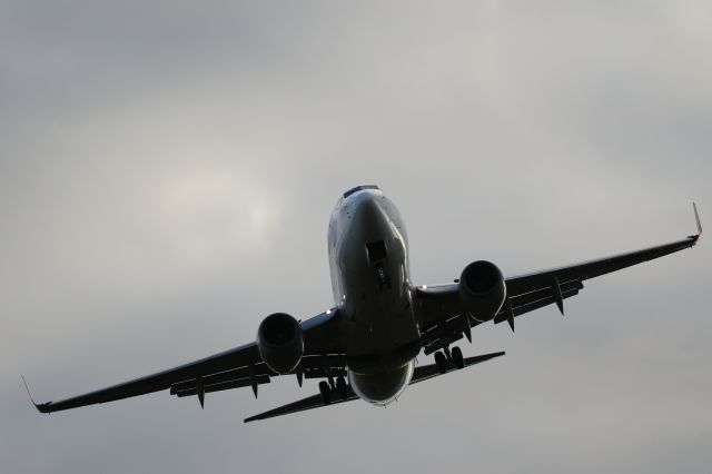 Boeing 737-700 (JA09AN) - November 12th 2018:HND-HKD.
