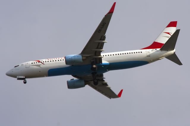 Boeing 737-800 (OE-LNQ)