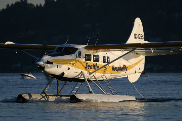 De Havilland Canada DHC-3 Otter (N3125S)