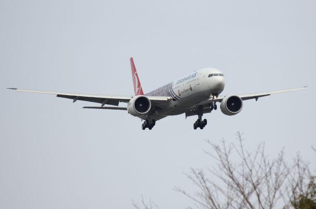 Boeing 777-200 (TC-JJI)