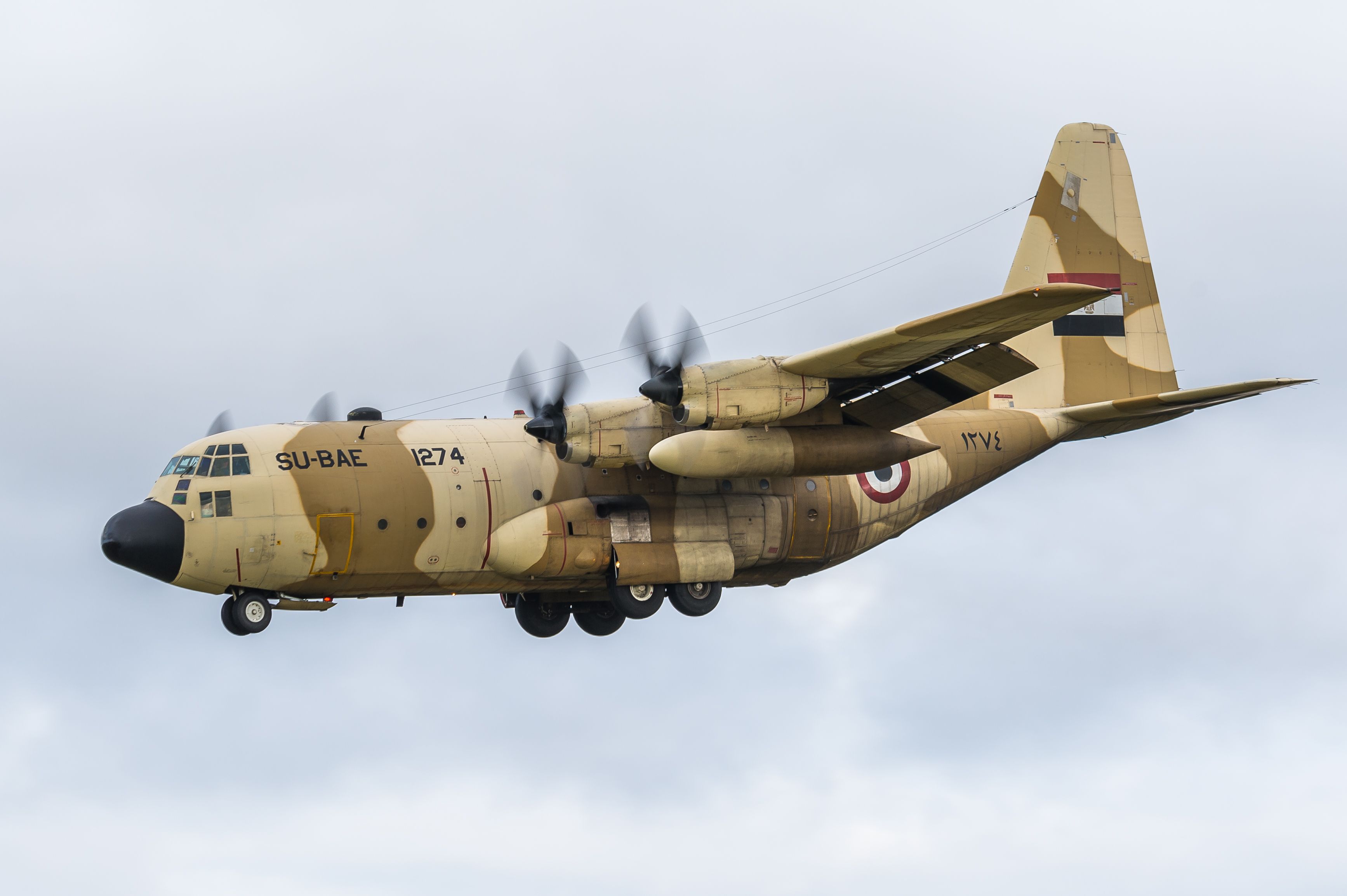 Lockheed C-130 Hercules (SU-BAE)