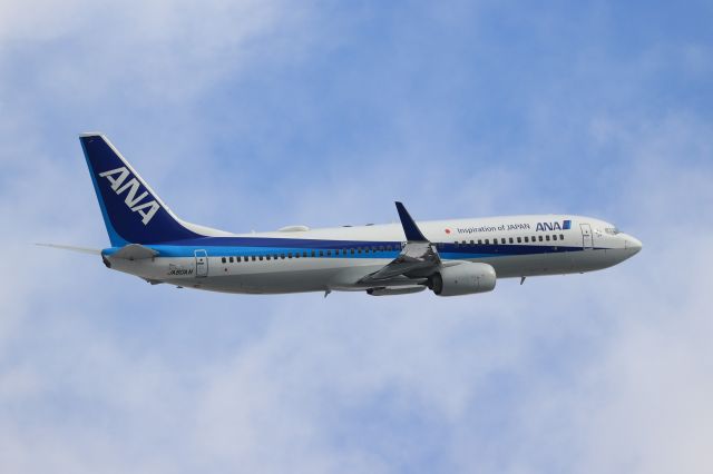 Boeing 737-800 (JA80AN) - January 24th 2021:HKD-HND.