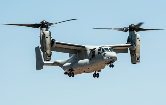 Bell V-22 Osprey (VMM365) - It is not every day you get to see one of these up close and personal.