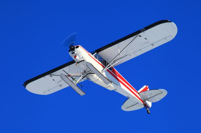 Piper L-21 Super Cub (N8918Y) - Going skiing on a sunny February morning with skis strapped to the right lift struts.