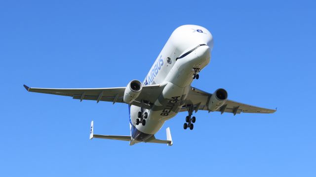 Airbus A330-300 (F-WWYX)