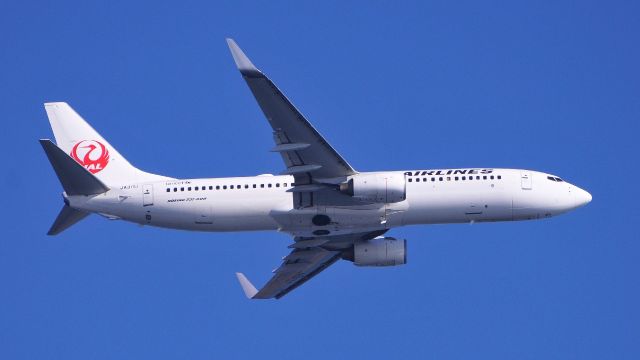 Boeing 737-800 (JA311J)