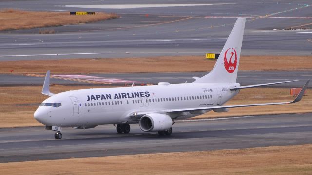 Boeing 737-800 (JA330J)