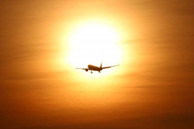 — — - No trick bud real Bali sunset shot