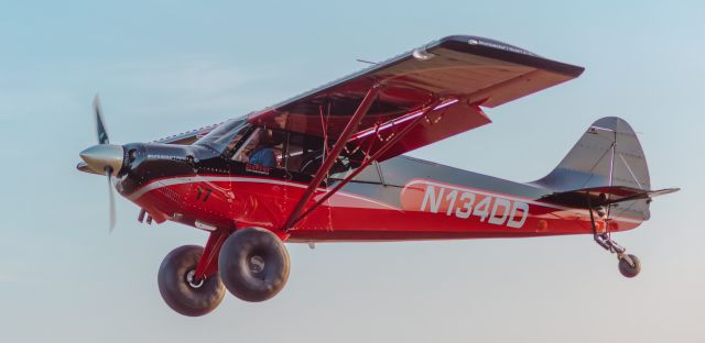 CHRISTEN Husky (N134DD) - Sun N' Fun 2025 - STOL Competition 