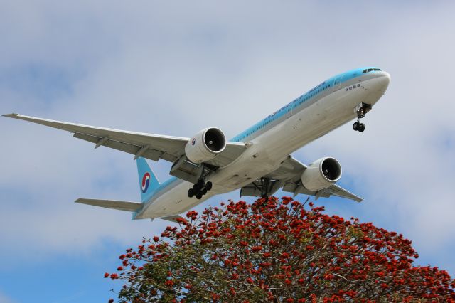 BOEING 777-300ER (HL8210)