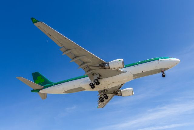 Airbus A330-200 (EI-DUO)