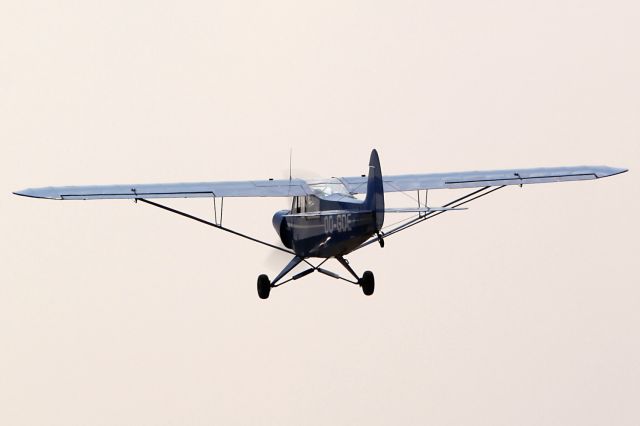 Piper L-21 Super Cub (OO-GDE)