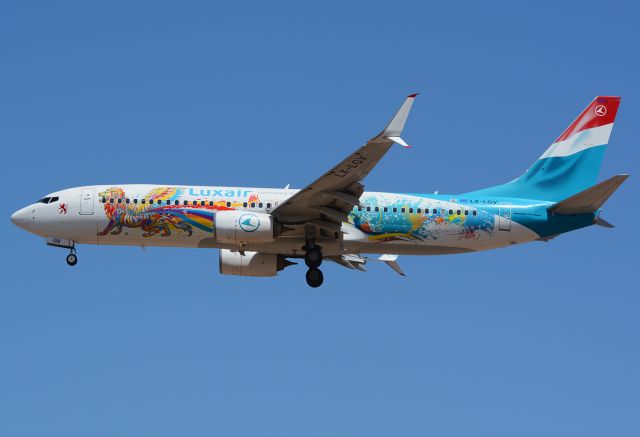 Boeing 737-800 (LX-LGV) - Special "60th anniversary" livery.