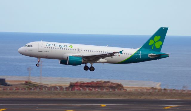 Airbus A320 (EI-FNJ)