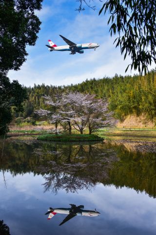 Boeing 777-200 (OE-LPA)