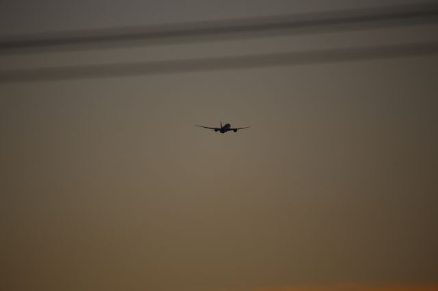 Boeing 787-9 Dreamliner (HL7206)