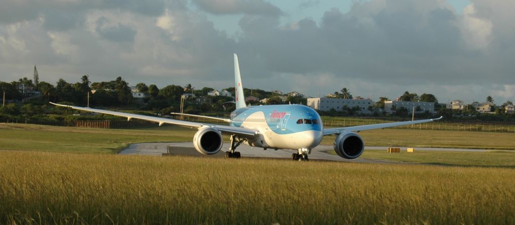 Boeing 787-8 (G-TUIA)