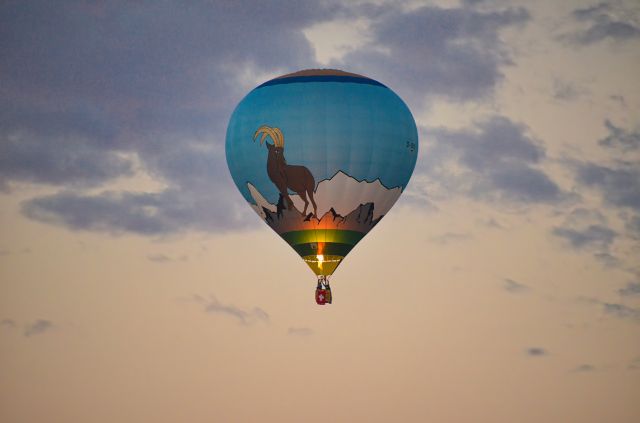 D-OURS — - Heissluftballon URS der Steinbock des Zoo Augsburg