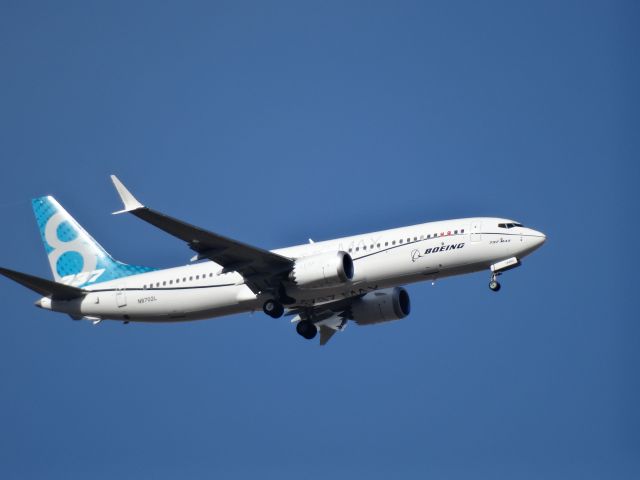 Boeing 737-800 (N8702L)