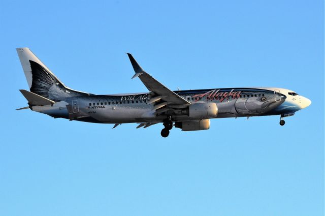 Boeing 737-800 (N559AS)